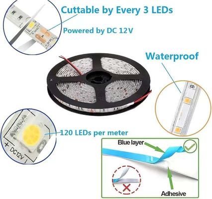 Đèn dải LED linh hoạt 600 đơn vị Đèn dải LED chống nước 12 Volt Đèn dải LED gói 16,4ft / 5m cho bữa tiệc nhà nghỉ Nội thất ngoài trời trang trí chống nước màu trắng 1 gói