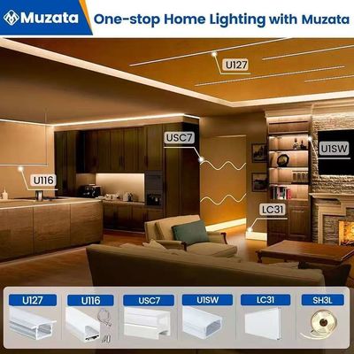 Bên ngoài chống nước 12/24V Dải đèn LED silicone cho trang trí gia đình Đèn dải đèn LED Neon màu trắng 16.4ft/5m Dải đèn neon 12V Dải đèn LED linh hoạt chống nước